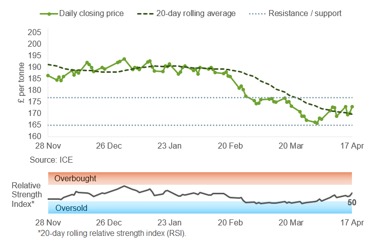 UK feed wheat price analysis 